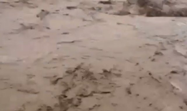 Sarıkamış&#039;ta bir köyü sel bastı