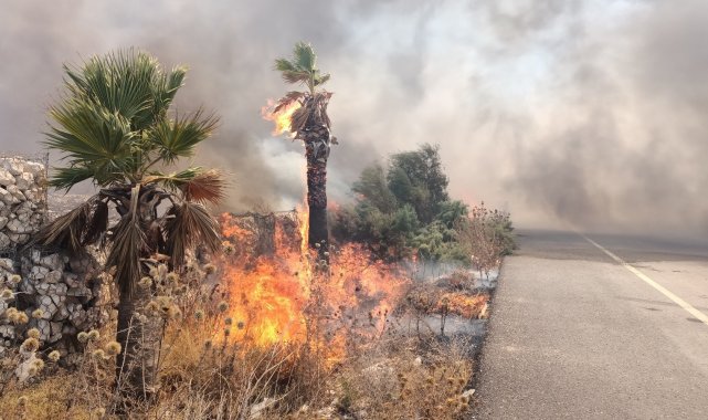 Seka&#039;da çıkan yangın korkuttu