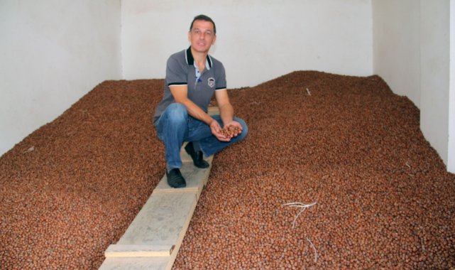 Serbest piyasada fındık fiyatı 26 liraya yükseldi