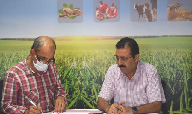 Siirt&#039;te kedi ve köpekler kimliklendirilip kayıt altına alınacak