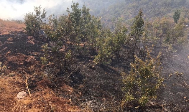 Siirt&#039;teki orman yangını kontrol altına alındı
