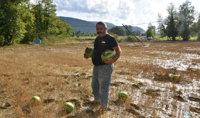 Sinop&#039;ta yaşanan sel felaketi karpuz tarlasını da vurdu
