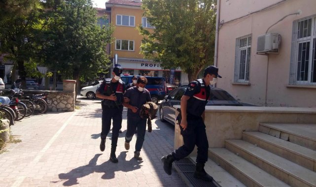 Sit alanında iş makinesiyle kaçak kazı yapan 3 kişi yakalandı