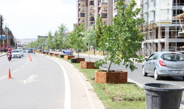 Sivas Belediyesi&#039;nin ağaçlandırma çalışmaları devam ediyor