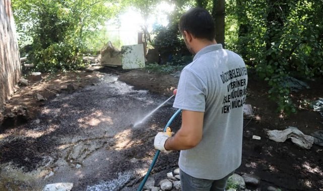 Sivrisinekle mücadele sürüyor