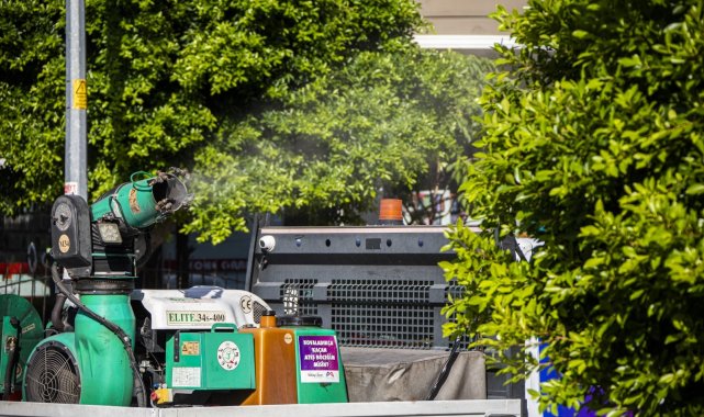 Son günlerde Mersin&#039;i saran beyaz sineğe karşı kapsamlı mücadele başladı