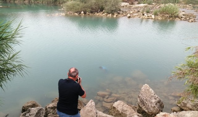 Suda erkek cesedi bulundu