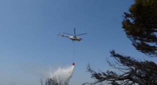 Tavaklı’da 1 ayda 9’uncu kez orman yangını çıktı