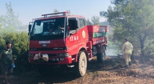 Tavaklı’da 2 haftada 5’inci orman yangını