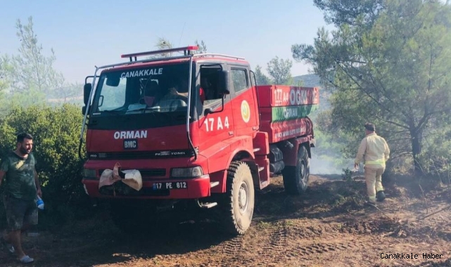 Tavaklı’da 2 haftada 5’inci orman yangını