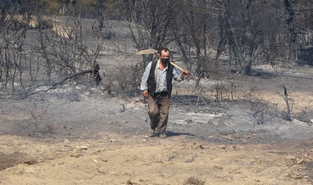 Tavaklı&#039;da 1 ayda 9&#039;uncu kez orman yangını çıktı