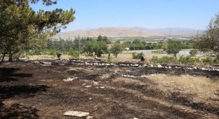 Tefenni ilçesindeki yangın ormana sıçramadan söndürüldü