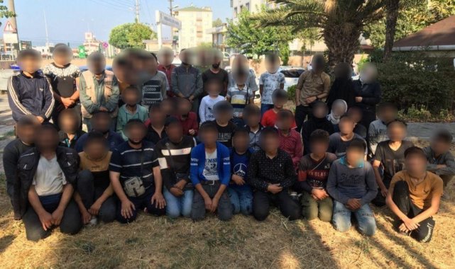 TEM&#039;de durdurulan bir minibüsten 50 kaçak göçmen çıktı: 3 gözaltı