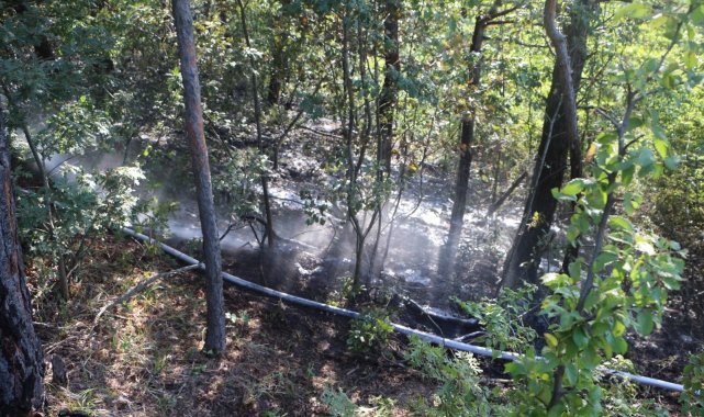 Tokat&#039;ta, ormanlık alanda yangın