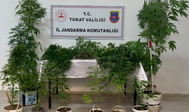 Tokat&#039;ta uyuşturucu madde operasyonları: 3 gözaltı