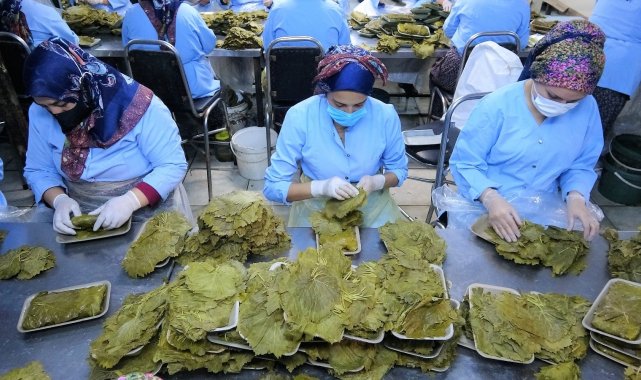 Tokat&#039;tan Dubai ve Katar&#039;a bağ yaprağı ihracatı