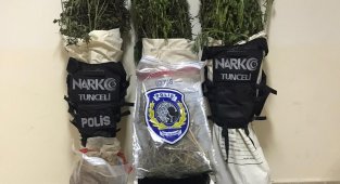 Tunceli'de uyuşturucu operasyonu: 1 kişi gözaltına alındı