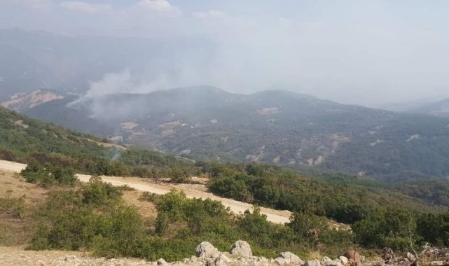 Tunceli&#039;deki orman yangınında soğutma çalışmaları sürüyor