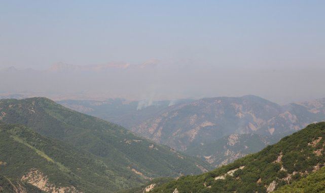 Tunceli&#039;deki yangınlara karadan ve havadan müdahale sürüyor