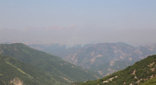 Tunceli'deki yangınlara karadan ve havadan müdahale sürüyor