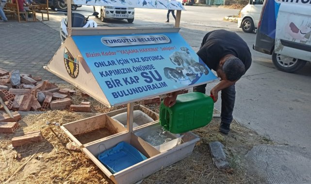 Turgutlu Belediyesinden can dostlara mama ve su desteği
