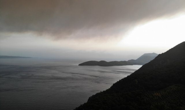 Türkiye&#039;yi diken üstünde tutan yangında alevler termik santrali böyle sardı