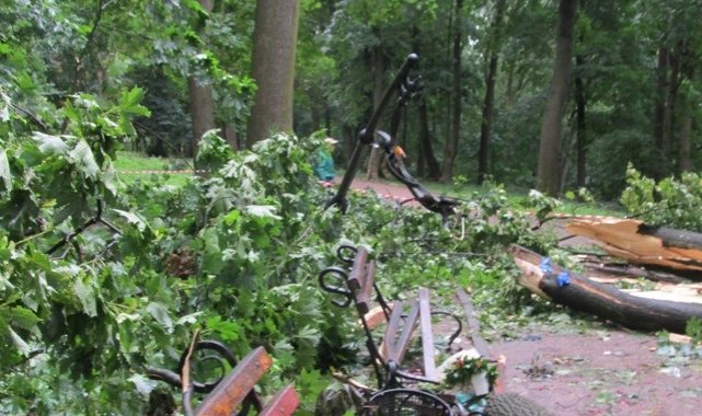 Ukrayna&#039;da fırtınada bankta oturanların üstüne ağaç devrildi: 2 ölü