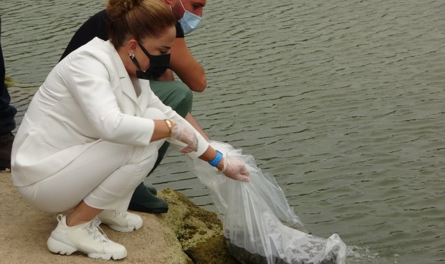 Uşak&#039;ta 259 bin sazan göllere bırakıldı