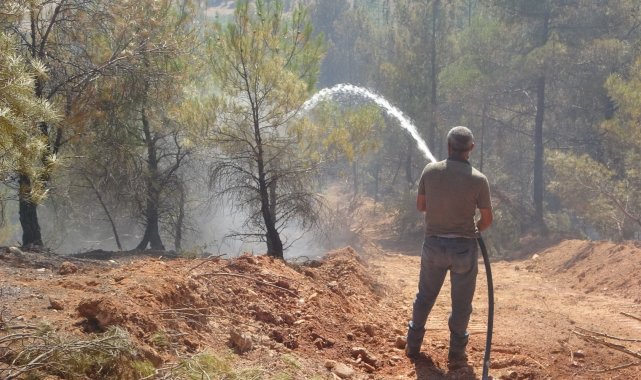 Uşak'ta çıkan orman yangını büyümeden söndürüldü