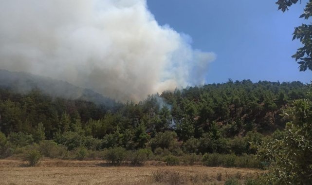 Uşak&#039;ta çıkan orman yangını kontrol altına alındı