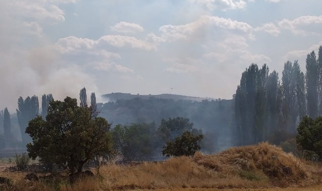 Uşak&#039;ta çıkan yangına havadan müdahale ediliyor