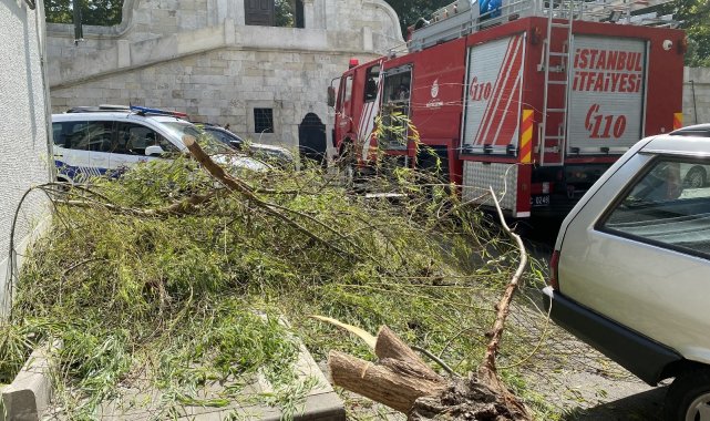 Üsküdar&#039;da kökü çürüyen söğüt ağacı otomobil üzerine devrildi