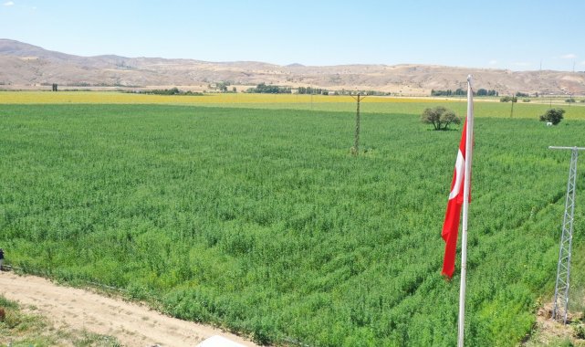 Vali Ayhan: &quot;Sivas en çok kenevir ekimi yapılan iller arasında&quot;