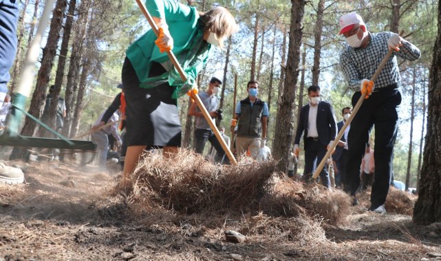 Vali ve Belediye Başkanı ormanı temizledi