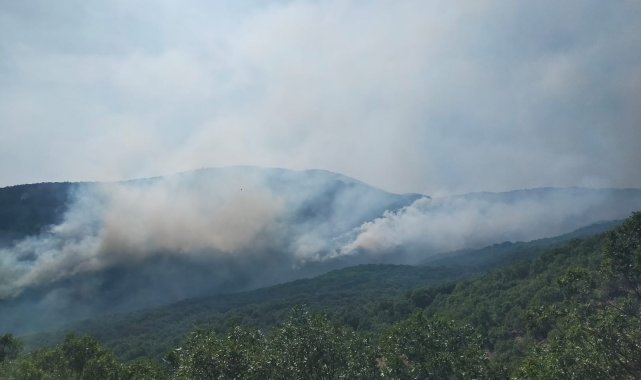 Valilikten yangına ilişkin açıklama