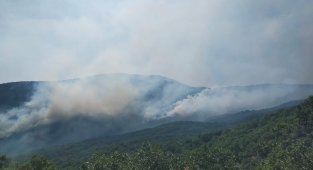 Valilikten yangına ilişkin açıklama