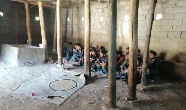 Van&#039;da 2 ahırda 42 düzensiz göçmen yakalandı