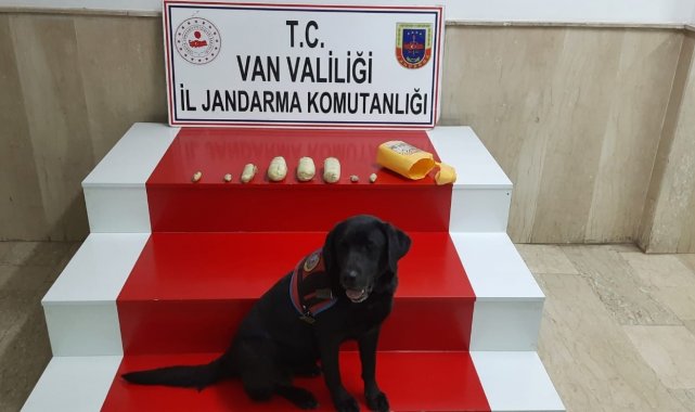 Van&#039;da taşların arasında saklanmış 2 kilogram reçine esrar ele geçirildi