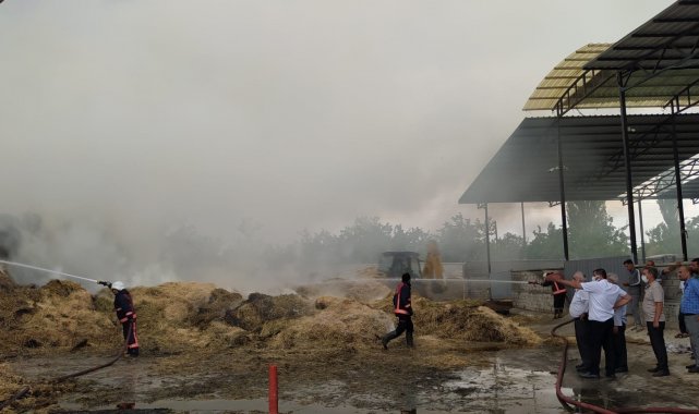 Yangın ahıra sıçramadan söndürüldü