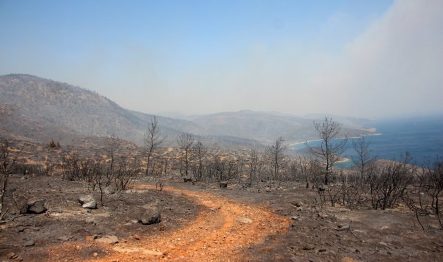 Yangın Bodrum'da kontrol altına alındı