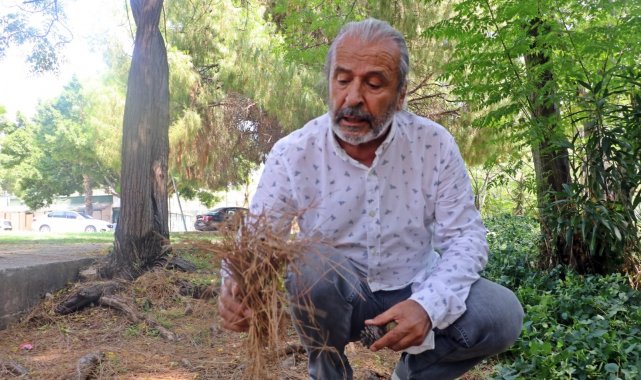Yangın Ekolojisi Uzmanı açıkladı: &quot;Manavgat yangının uzun ve şiddetli olmasındaki sebep; ince yanıcılar&quot;