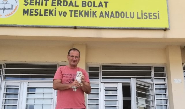 Yaralı halde bulunan baykuş tedavi altına alındı