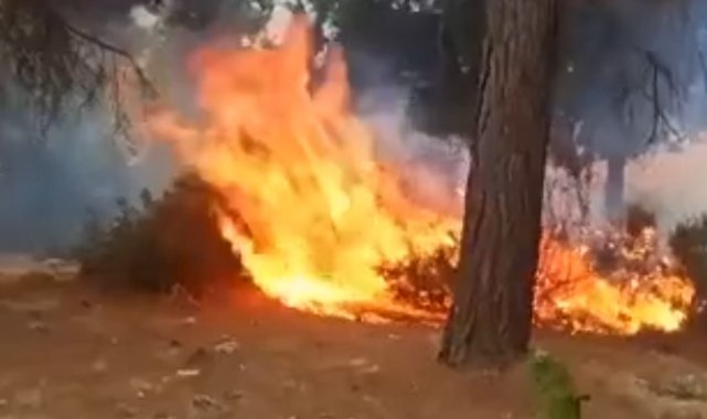 Yaylalarda çıkan yangınlar korku dolu anlar yaşattı