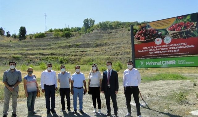 Yeşilyurt&#039;ta kiraz ve vişne üretimi artacak