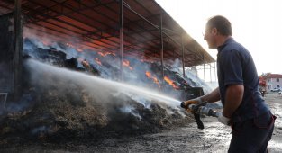 10 bin balya saman kül oldu