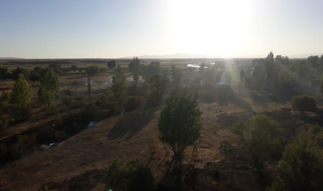 Ağrı&#039;da çıkan orman yangını kontrol altına alındı