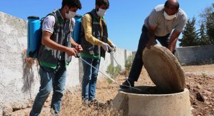 Akçakale'de ilaçlama çalışmaları aralıksız devam ediyor