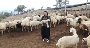 Aksaray'da hibe destekli projelerle tarım ve hayvancılık hızla gelişiyor