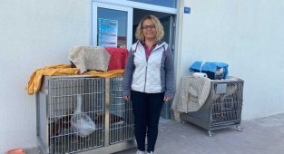 AKÜREM'de tedavisi tamamlanan yaban hayvanları Ormanya'ya gönderildi