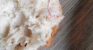 Aldığı ekmeğin içinden çıkanı görünce şok oldu